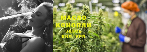 ГАЛЛЮЦИНОГЕННЫЕ ГРИБЫ Вяземский