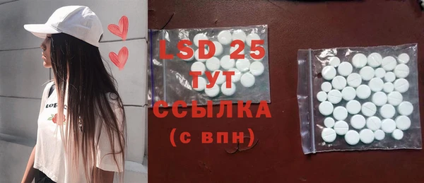 ГАЛЛЮЦИНОГЕННЫЕ ГРИБЫ Вяземский