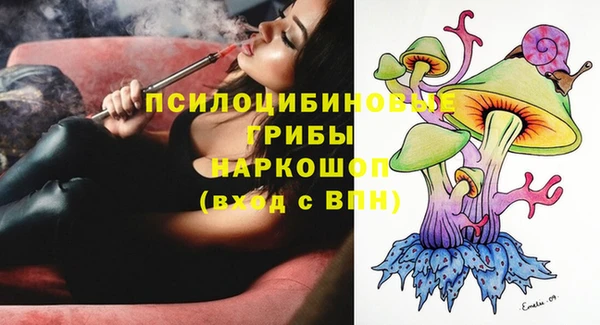 прущие крисы Вязники