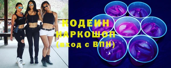 ГАЛЛЮЦИНОГЕННЫЕ ГРИБЫ Вяземский