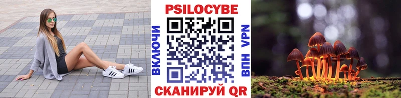 Псилоцибиновые грибы ЛСД  Купить  Пучеж 