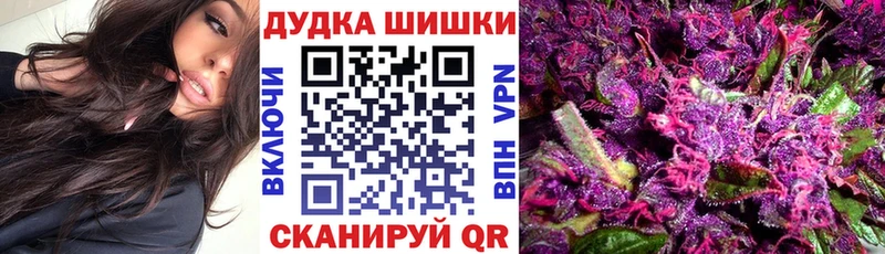 Купить закладки  Пучеж  МАРИХУАНА ГИДРОПОН 
